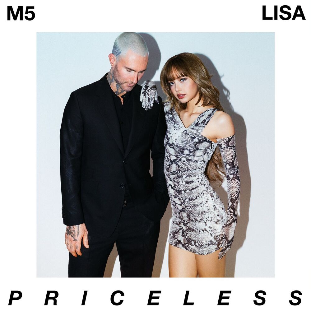 Maroon 5 - Priceless